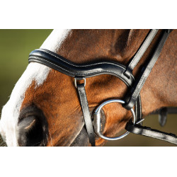 Trensenzaum Techno HFI Schwarz Trensenzaum Techno HFI Schwarz