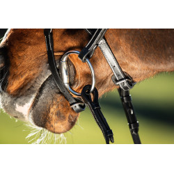 Trensenzaum Techno HFI Schwarz Trensenzaum Techno HFI Schwarz