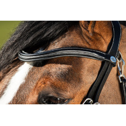 Trensenzaum Techno HFI Schwarz Trensenzaum Techno HFI Schwarz