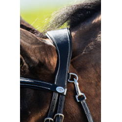 Trensenzaum Techno HFI Schwarz Trensenzaum Techno HFI Schwarz