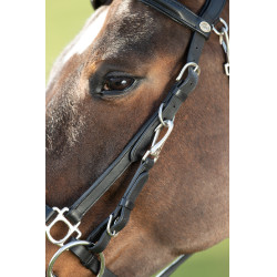 Kombination Trense / Halfter HFI Schwarz Kombination Trense / Halfter HFI Schwarz