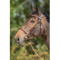 Kombination Trense / Halfter HFI Schwarz