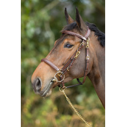 Kombination Trense / Halfter HFI Braun