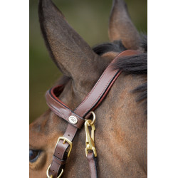 Kombination Trense / Halfter HFI Braun