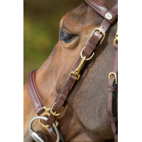 Kombination Trense / Halfter HFI Schwarz