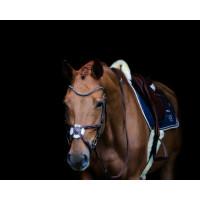 V-Stirnband Strass HFI Braun / Blau