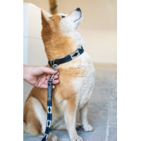 Lass Hund Polo HFI Schwarz / Marine / Silber Motive
