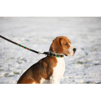 Lass Hund Polo HFI Braun / Smaragd / Ocker Motive