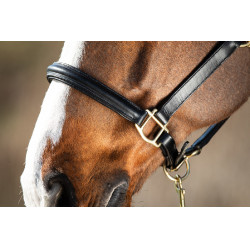 Genickriemen bombé HFI Schwarz