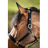 Genickriemen bombé HFI Schwarz