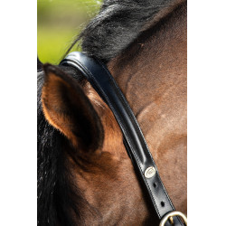 Genickriemen bombé HFI Schwarz