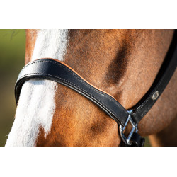 Zweifarbiges HFI-Lederhalfter Schwarz / Cognac