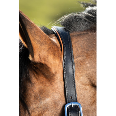 Zweifarbiges HFI-Lederhalfter Schwarz / Cognac Zweifarbiges HFI-Lederhalfter Schwarz / Cognac