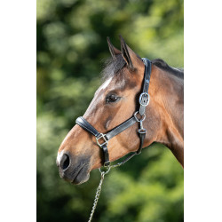 Grooming-Halfter HFI