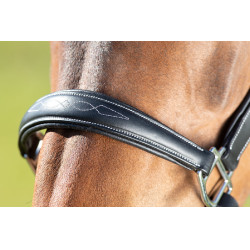 Grooming-Halfter HFI Schwarz Grooming-Halfter HFI Schwarz