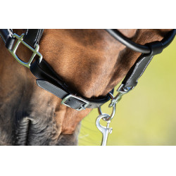 Grooming-Halfter HFI Schwarz Grooming-Halfter HFI Schwarz