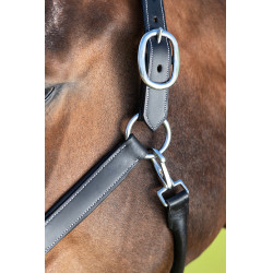 Grooming-Halfter HFI Schwarz Grooming-Halfter HFI Schwarz