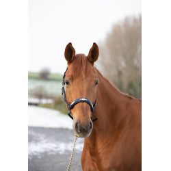 HFI Polo Halfter Schwarz / Marine / Silber Motive