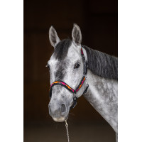 HFI Polo Halfter Schwarz / Orange / Rosa Motive