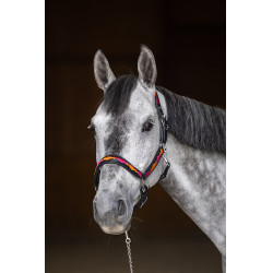 HFI Polo Halfter Schwarz / Orange / Rosa Motive