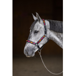 HFI Polo Halfter Schwarz / Orange / Rosa Motive