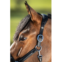 Halfter HFI Wave Schwarz Halfter HFI Wave Schwarz