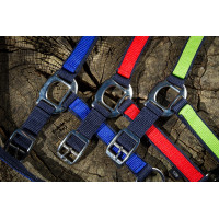 Nylonhalfter HFI Marine / Königsblau