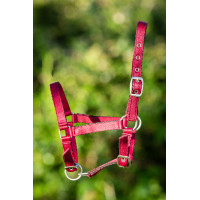 Nylonhalfter HFI Fohlen Bordeaux