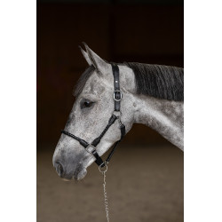 Geflochtener Halfter HFI Schwarz Geflochtener Halfter HFI Schwarz