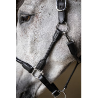 Geflochtener Halfter HFI Schwarz