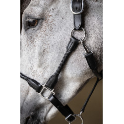 Geflochtener Halfter HFI Schwarz Geflochtener Halfter HFI Schwarz