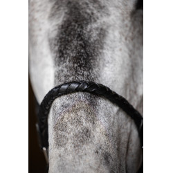 Geflochtener Halfter HFI Schwarz Geflochtener Halfter HFI Schwarz