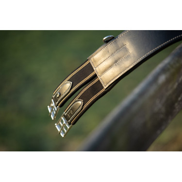 Gurtzügel HFI Evo Leder Schwarz