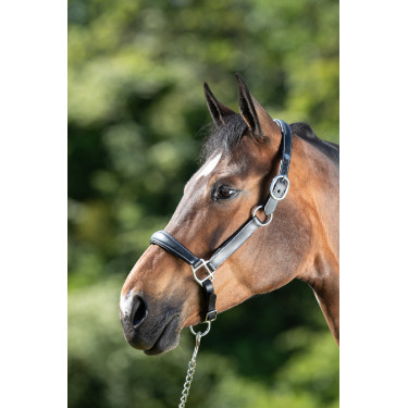 Grooming-Halfter HFI Schwarz