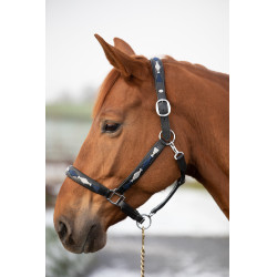 HFI Polo Halfter