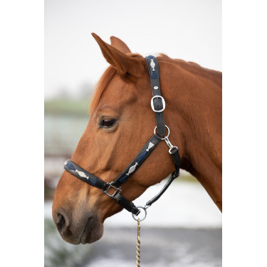 HFI Polo Halfter