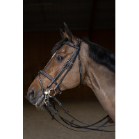 Jumping-Trense HFI Master Double Jump Schwarz