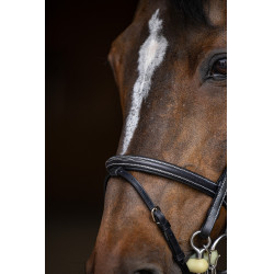 Jumping-Trense HFI Master Double Jump Jumping-Trense HFI Master Double Jump