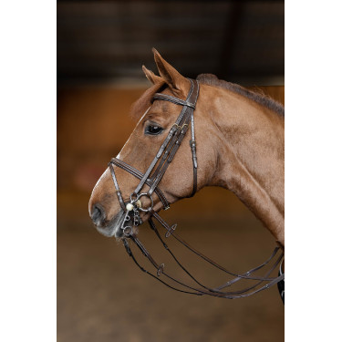 Jumping-Trense HFI Master Double Jump