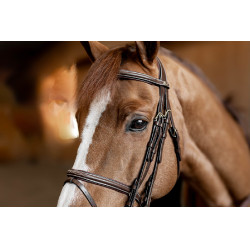 Jumping-Trense HFI Master Double Jump Jumping-Trense HFI Master Double Jump
