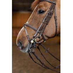 Jumping-Trense HFI Master Double Jump Jumping-Trense HFI Master Double Jump