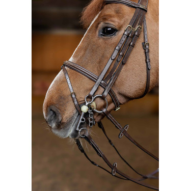 Jumping-Trense HFI Master Double Jump Jumping-Trense HFI Master Double Jump