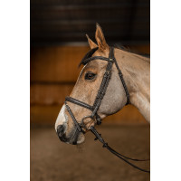 Kombiniertes Reithalfter Flex HFI Master Schwarz Kombiniertes Reithalfter Flex HFI Master Schwarz