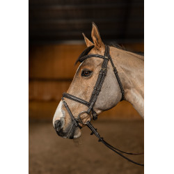 Kombiniertes Reithalfter Flex HFI Master Braun