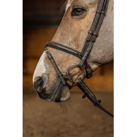 Kombiniertes Reithalfter Flex HFI Master Schwarz Kombiniertes Reithalfter Flex HFI Master Schwarz