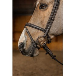 Kombiniertes Reithalfter Flex HFI Master Braun