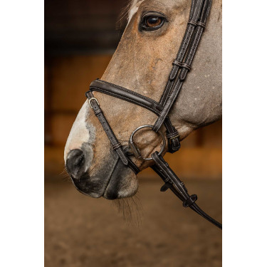 Kombiniertes Reithalfter Flex HFI Master Braun