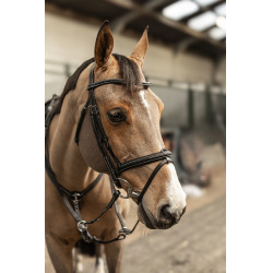 Kombiniertes Zaumzeug Milano HFI Master Pro Line Schwarz / Silber