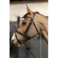 Kombiniertes Zaumzeug Milano HFI Master Pro Line Schwarz / Silber