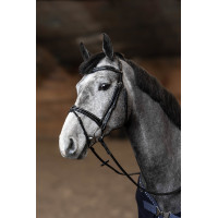 Kombiniertes Trensenzaum Painted HFI Master Schwarz Kombiniertes Trensenzaum Painted HFI Master Schwarz